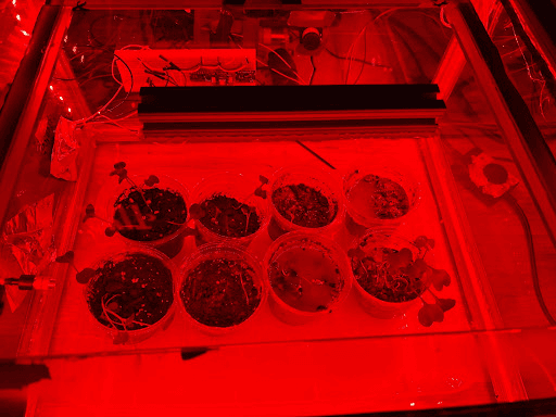 UI and Controls System for NASA xHAB ISS EXPRESS Rack Redesign cover photo